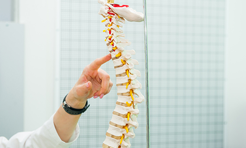 Chiropractic care