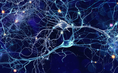 How Functional Neurology Can Help You