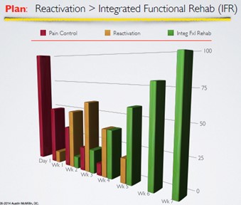 Physical Rehabilitation