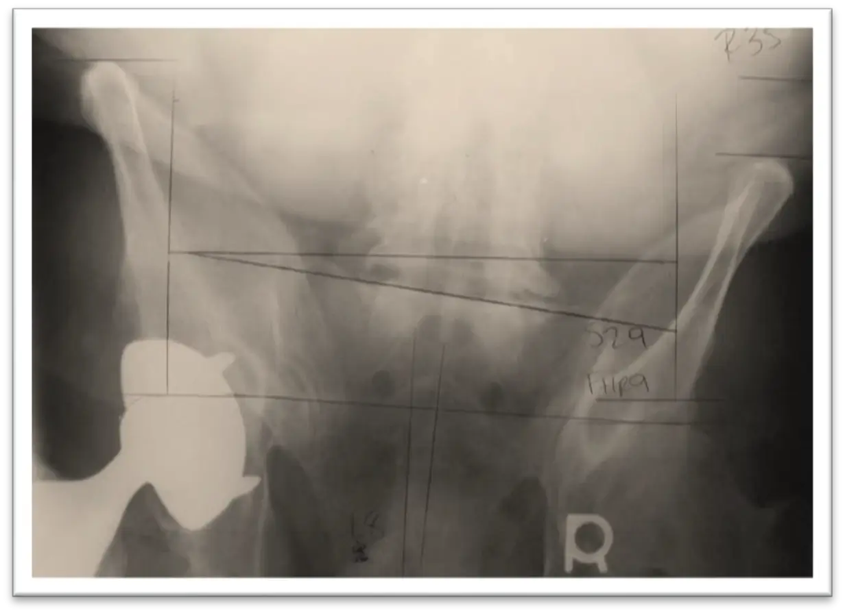 Diagnostic Imaging and Special Testing